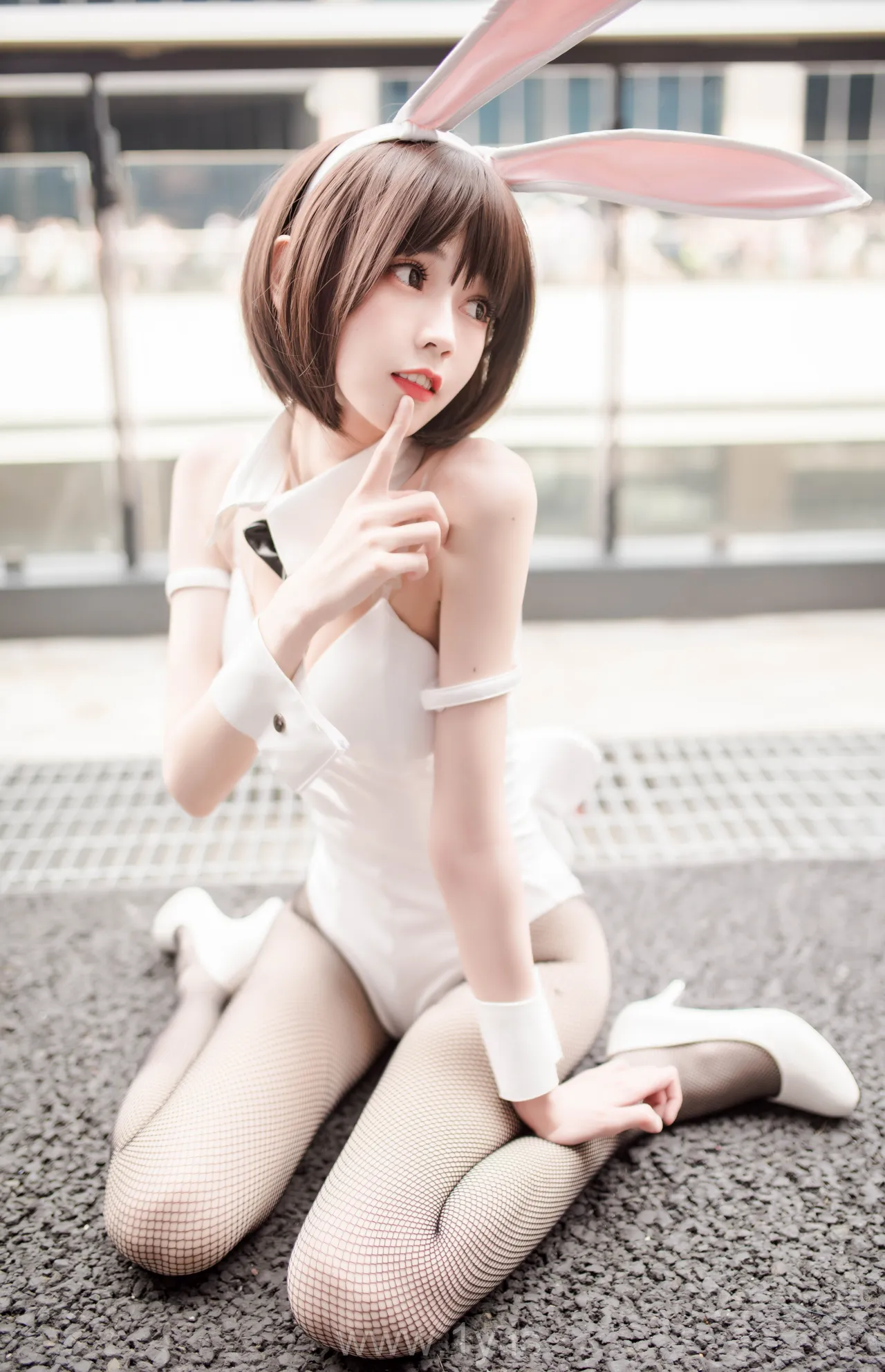 你的负卿 圣人惠兔女郎